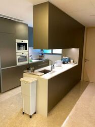 Cairnhill Nine (D9), Apartment #524894791
